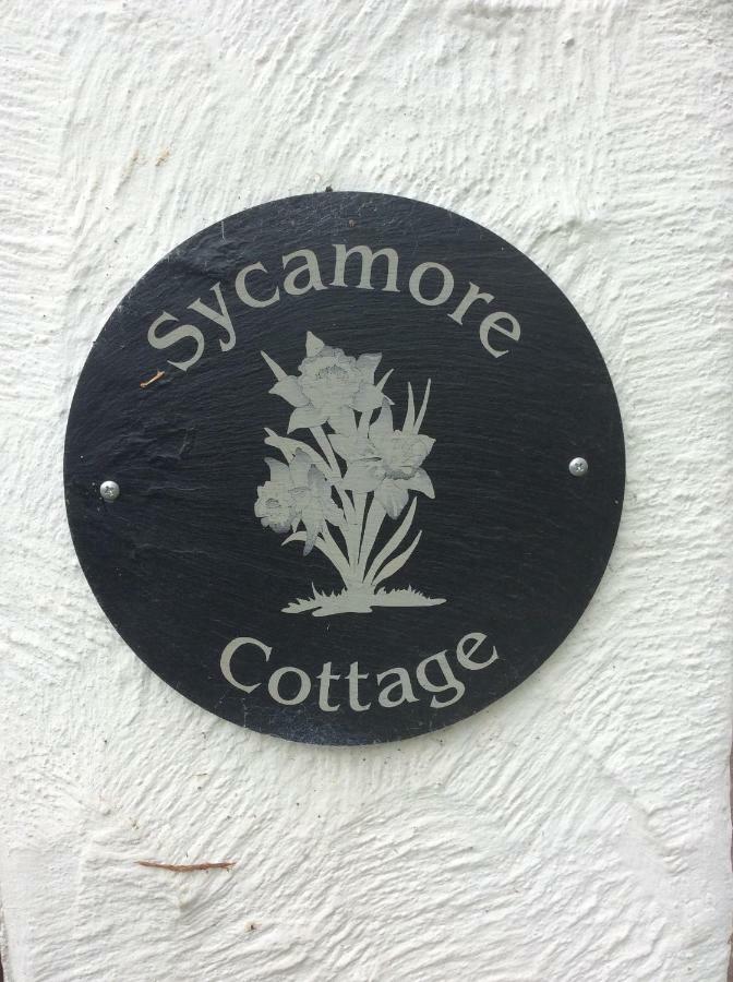 Sycamore Cottage Conwy Exterior photo